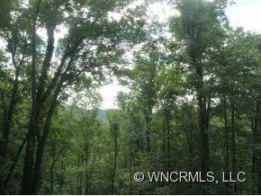 109 Morning Glory Lane - Photo 15