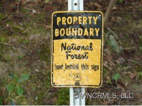 427 REEVES COVE ROAD - Photo 17