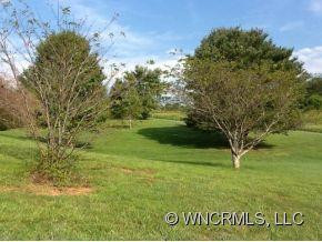 431 Old Leicester Highway - Photo 3