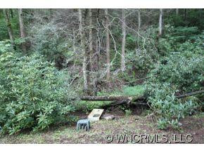  - Photo 6