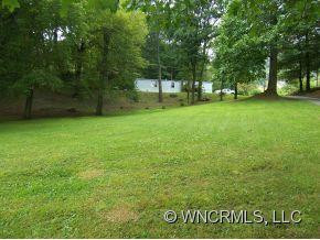47 Bearwallow Trail - Photo 2