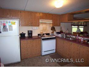 47 Bearwallow Trail - Photo 11