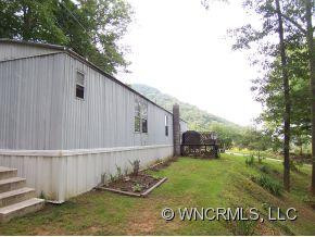 47 Bearwallow Trail - Photo 3