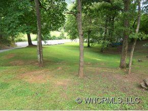 47 Bearwallow Trail - Photo 4