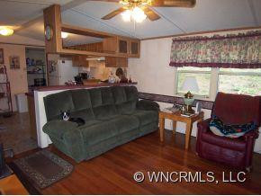 47 Bearwallow Trail - Photo 5