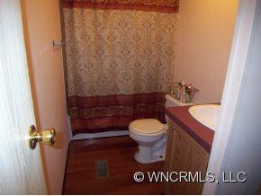 47 Bearwallow Trail - Photo 9