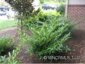 181 Brickton Village Circle #108 - Photo 14