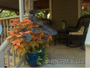 75 Deep Woods - Photo 5