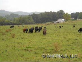 500 Whitmire Rd - Photo 20