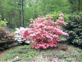 169 CRESTMONT DRIVE - Photo 3