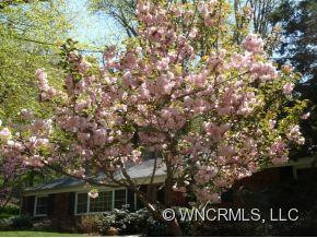 36 Griffing Circle - Photo 17