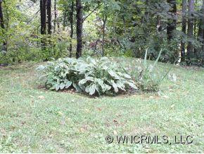 206 BUCKEYE HAVEN ROAD - Photo 17