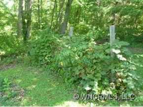 445 Old Haw Creek Rd - Photo 7