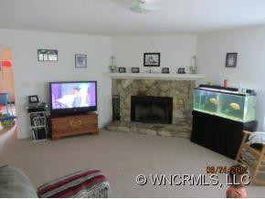 112 Pioneer Mountain Road - Photo 4