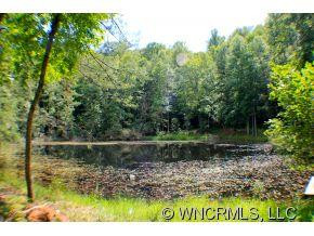 1787 Pisgah Hwy - Photo 5