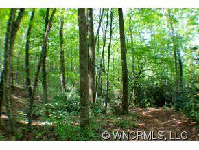1787 Pisgah Hwy - Photo 6