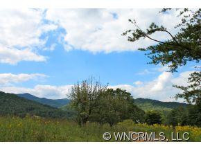 1787 Pisgah Hwy - Photo 8