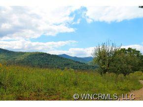 1787 Pisgah Hwy - Photo 9