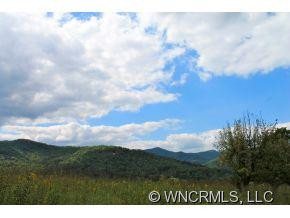 1787 Pisgah Hwy - Photo 10