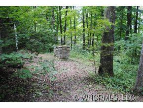 173 Lister Lane - Photo 14