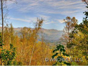 157 WALKING FERN RIDGE - Photo 12