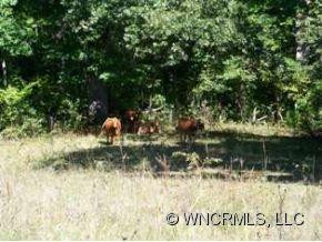 136 Dillingham Road - Photo 16