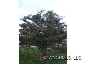 72 Mimosa Drive - Photo 12