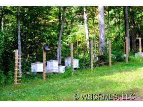 3819 Cane Creek Road - Photo 16