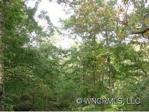 1850 Connestee trail - Photo 11