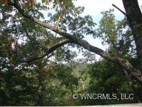 1850 Connestee trail - Photo 12