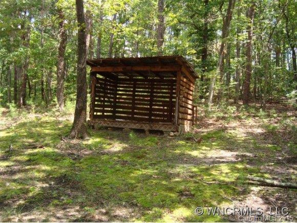 295 Indian Creek Lane - Photo 15