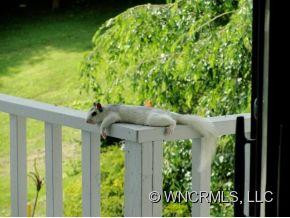 210 Warren Lane - Photo 22