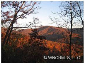 151 Black Oak Drive - Photo 4