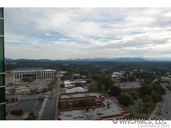 151 Haywood Street #1001 - Photo 4