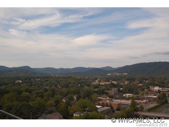 151 Haywood Street #1001 - Photo 10