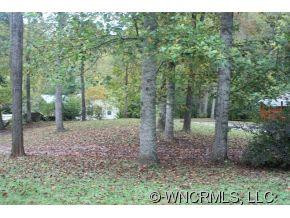 121 CHESTNUT COVE RD. - Photo 10
