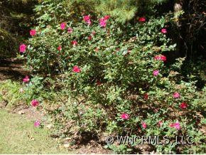 75 Hidden Woods Lane - Photo 22