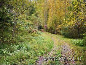 334 MARTIN'S CREEK ROAD - Photo 3