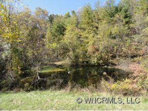 177 OLD ORR ROAD - Photo 3