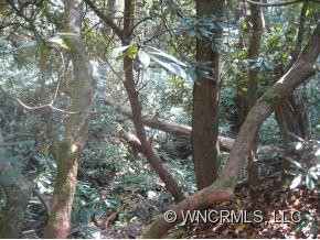 80 Kimberly Road - Photo 3