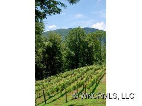 653 Tau Rock Vineyard Lane - Photo 14
