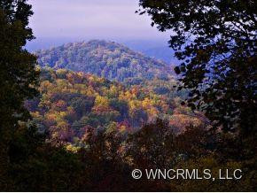 416 Webb Cove Road - Photo 15