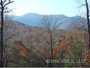 157 RHODODENDRON PARK ROAD - Photo 2