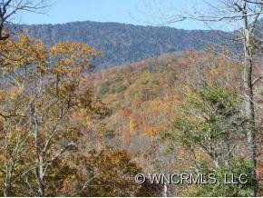 157 RHODODENDRON PARK ROAD - Photo 18
