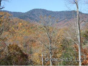 157 RHODODENDRON PARK ROAD - Photo 19