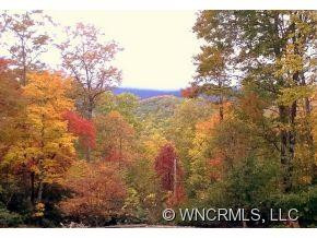 157 RHODODENDRON PARK ROAD - Photo 23