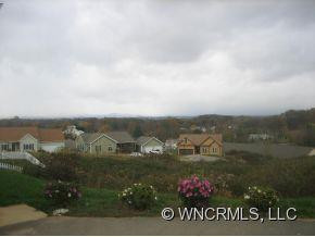 36 Climbing Aster Way - Photo 4