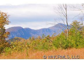 234 BROOKSIDE FOREST PARKWAY - Photo 2