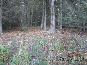 33 Honey Locust Lane - Photo 3