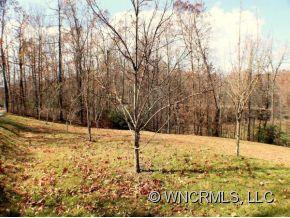 903 EAST FORK ROAD - Photo 24